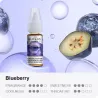 Blueberry Nic Salt by ElfLiq