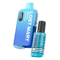 Lost Mary BM6000 Disposable Vape - Blueberry