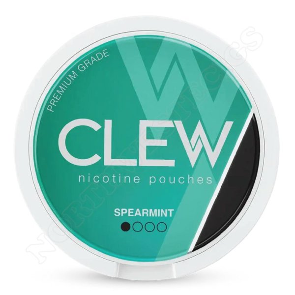 Spearmint Nicotine Pouches by CLEW 2x