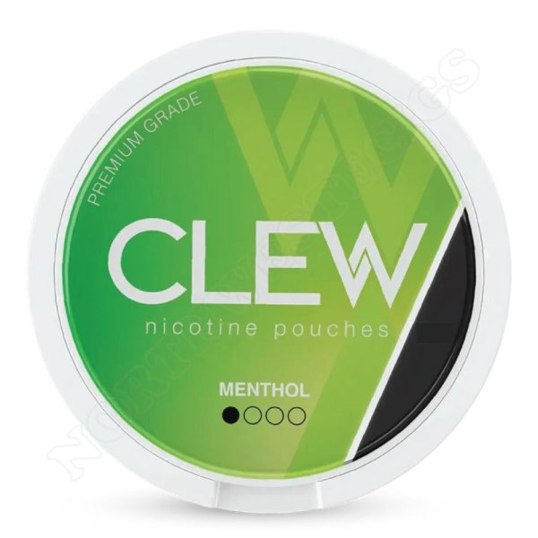 Menthol Nicotine Pouches by CLEW 2x